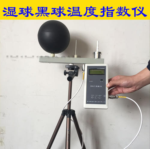 3m黑球濕球溫度計詳情