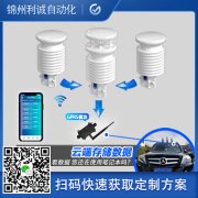 定製自動香蕉视频网址儀器