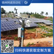 定製化林業香蕉视频网址