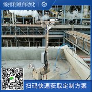 定製化微型香蕉视频网址