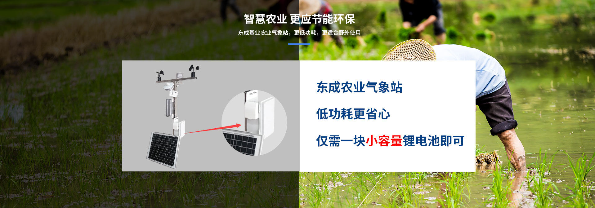 物聯網香蕉视频网址